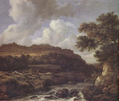 Jacob van Ruisdael A Mountainous Wooded Landscape with a Torrent (nn03) china oil painting image